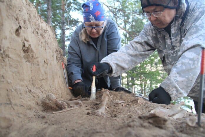 В Якутии расширят площадь раскопок на месте обнаружения древнего могильника