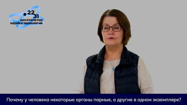 Почему у человека одни органы парные, а другие в одном экземпляре?